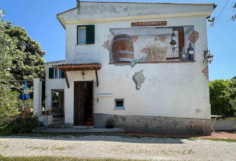 آپارتمان 3 خوابه, Azienda Agricola Sapereta