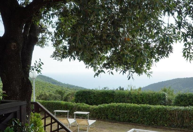 标准三人间, B&b Il Piccolo Paradiso