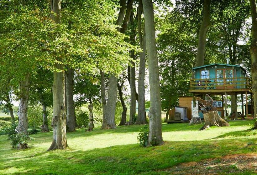 Шале 1 Спальня, Dale Farm Holidays