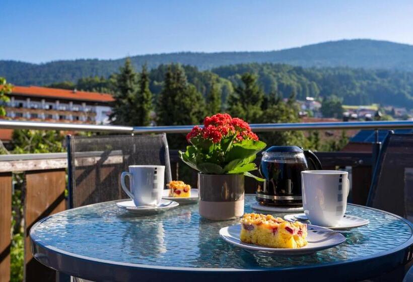 Апартаменты 1 Спальня с Балконом, Pension Bayerwald
