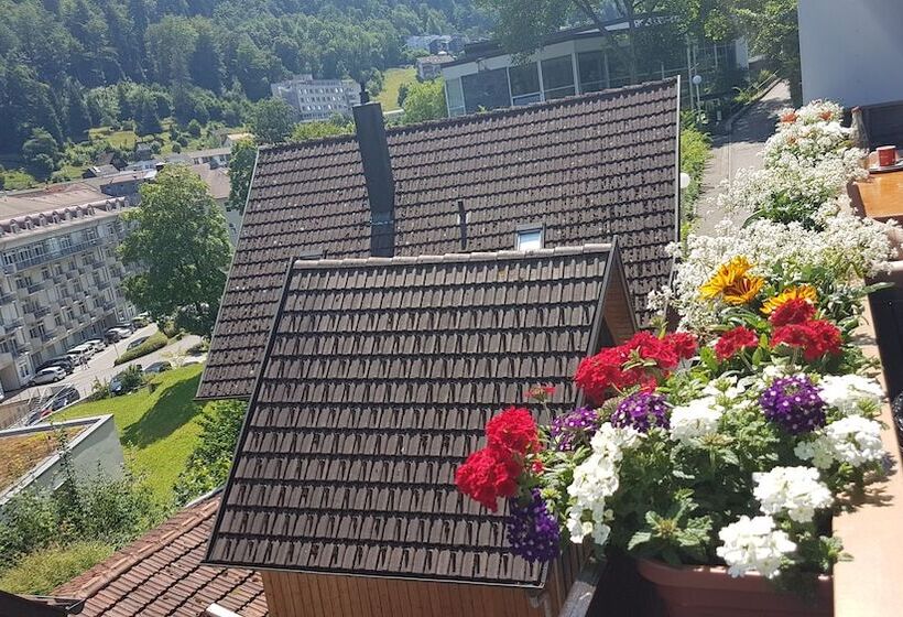 Четырехместный Номер Deluxe, Pension Silberburg Bad Wildbad