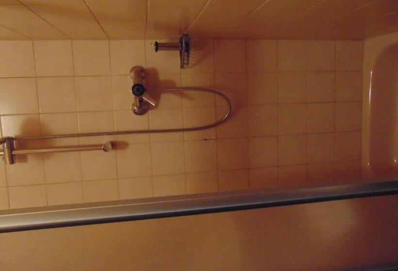 غرفة قياسية فردية, Gasthaus Rebstock