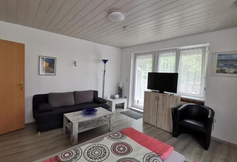 آپارتمان 1 خوابه با تراس, Pension Haus Erika
