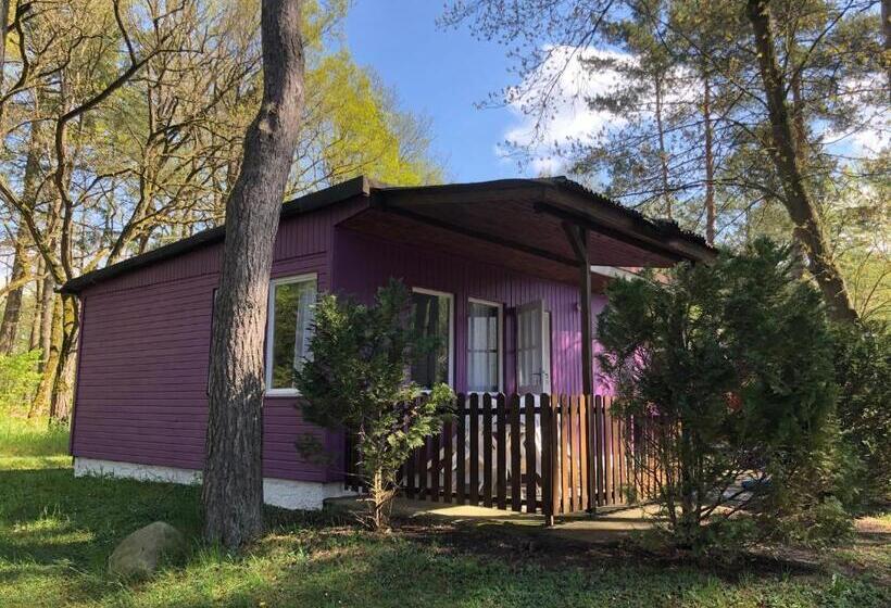 Бунгало Стандарт 2 Спальни, Gast & Logierhaus Am Rheinsberger See