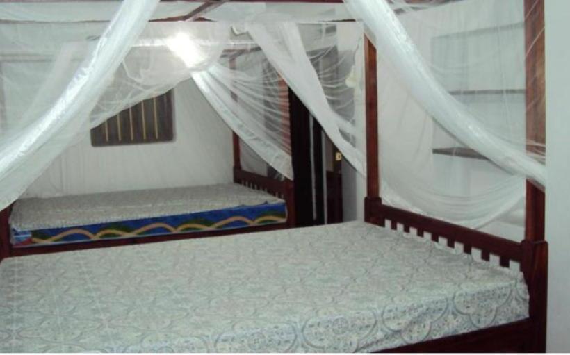 Кровать в Общей Комнате, Siri Medura Surf Yoga Meditation Guesthouse And Hostel