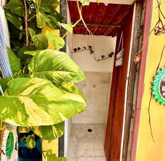 ルームシェアのワンベッド, Hostal Guacamayas