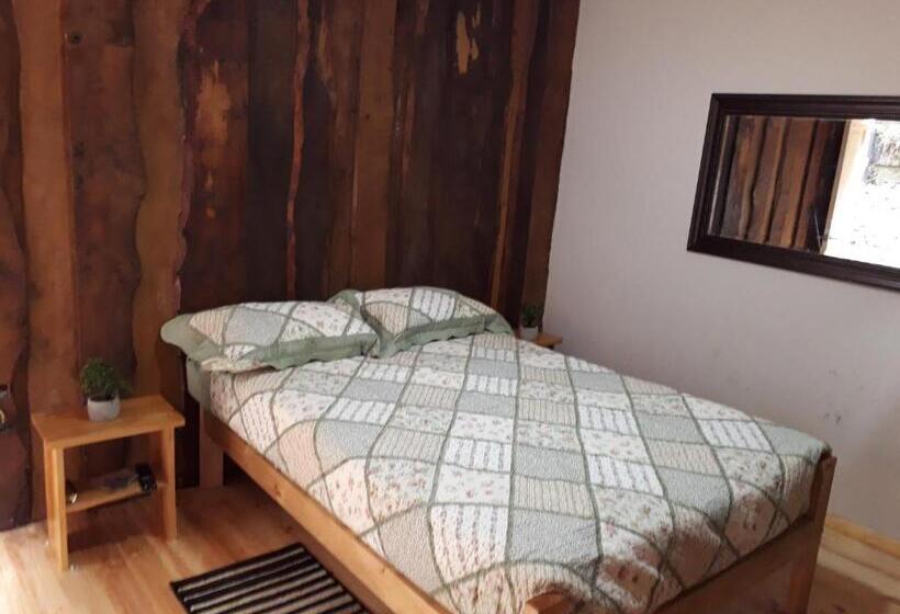 스탠다드 룸, Hostal Plaza Chiloe