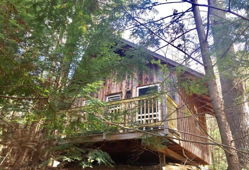 Семейное Бунгало, Grunberg Haus Inn & Cabins