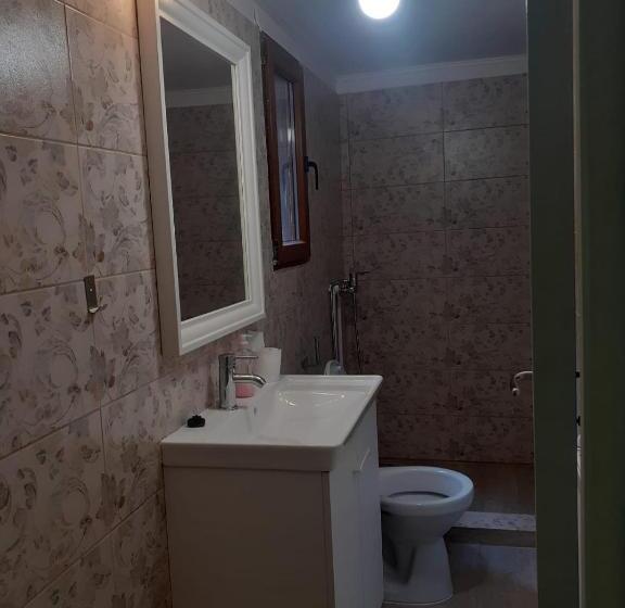 Апартаменты 1 Спальня Вид на Сад, Casa Maia Dambovicioara