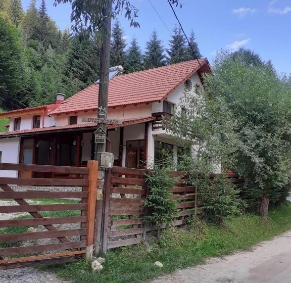 Апартаменты 1 Спальня Вид на Сад, Casa Maia Dambovicioara