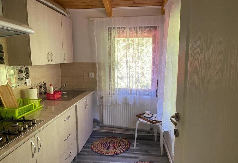 Апартаменты 1 Спальня Вид на Сад, Casa Maia Dambovicioara
