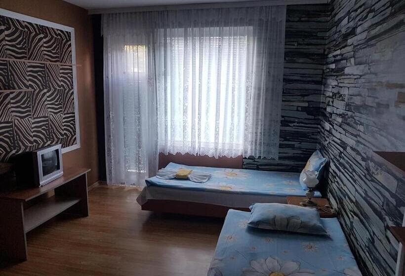 חדר סטנדרט לארבעה, Guest House Veselina