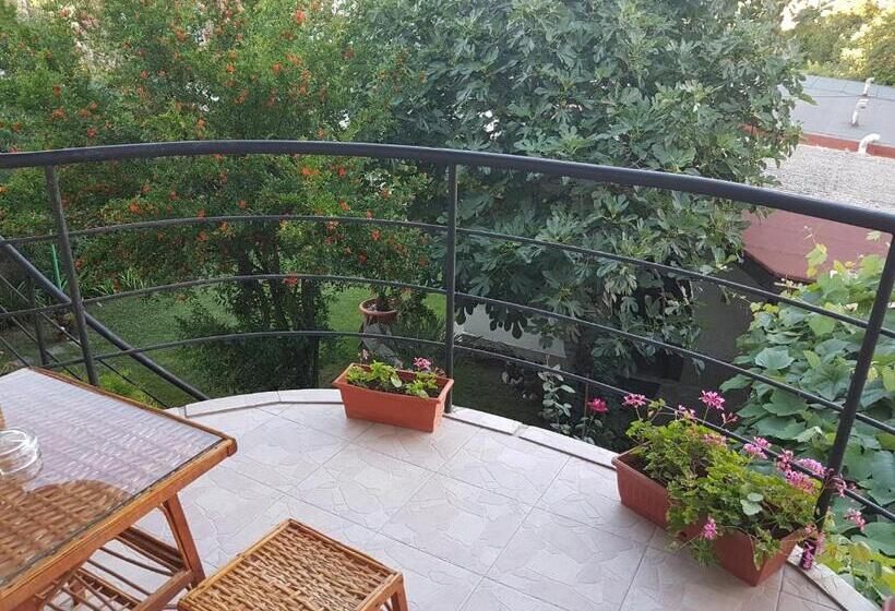 اتاق استاندارد با چشم‌انداز باغ, Guest House Veselina