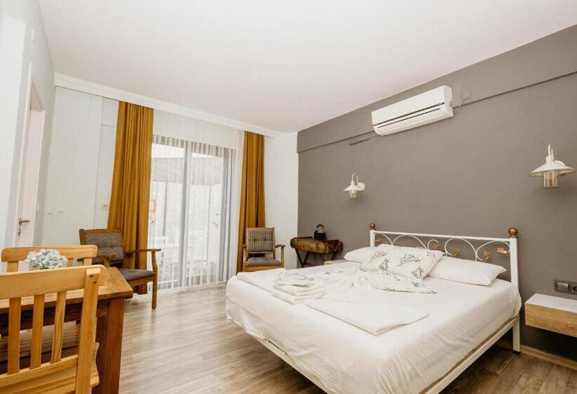 اتاق استاندارد با چشم‌انداز باغ, Azra Apart & Otel