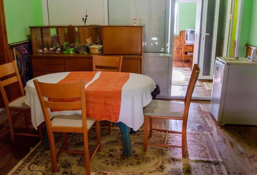标准工作室带阳台, Danailovi Guest House