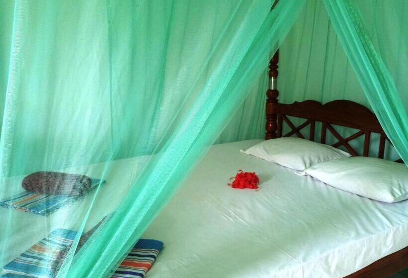 اتاق استاندارد, Rainbow Guest House