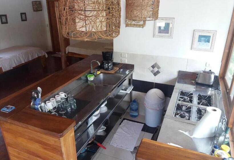 Бунгало Deluxe, Casa Aba Matapalo