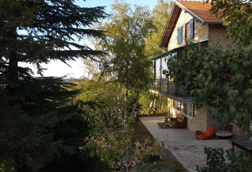 اتاق استاندارد چهارنفره با چشم‌انداز باغ, Lodging Vidmar