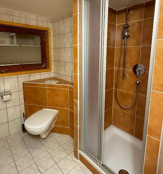Апартаменты Комфорт 1 Спальня, Alte Schmiede