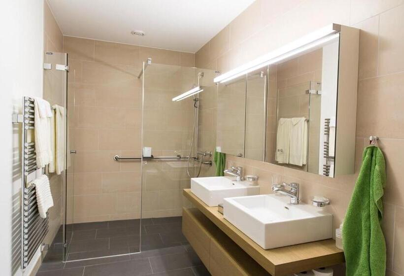 Апартаменты Deluxe 1 Спальня, Tertianum Parkresidenz Meilen