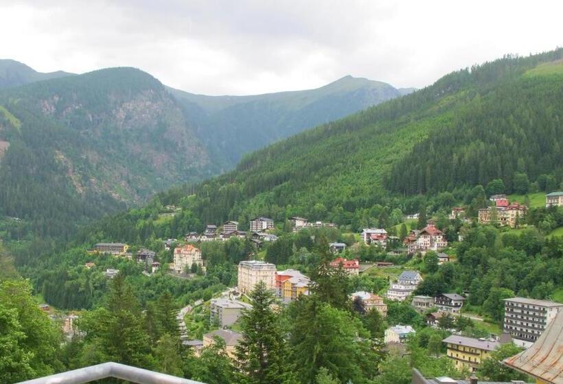 Апартаменты Deluxe 1 Спальня, Club Alpenresidenz Gastein