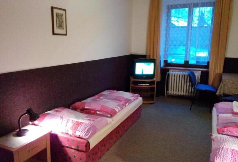 Standard Værelse, Penzion Poprda