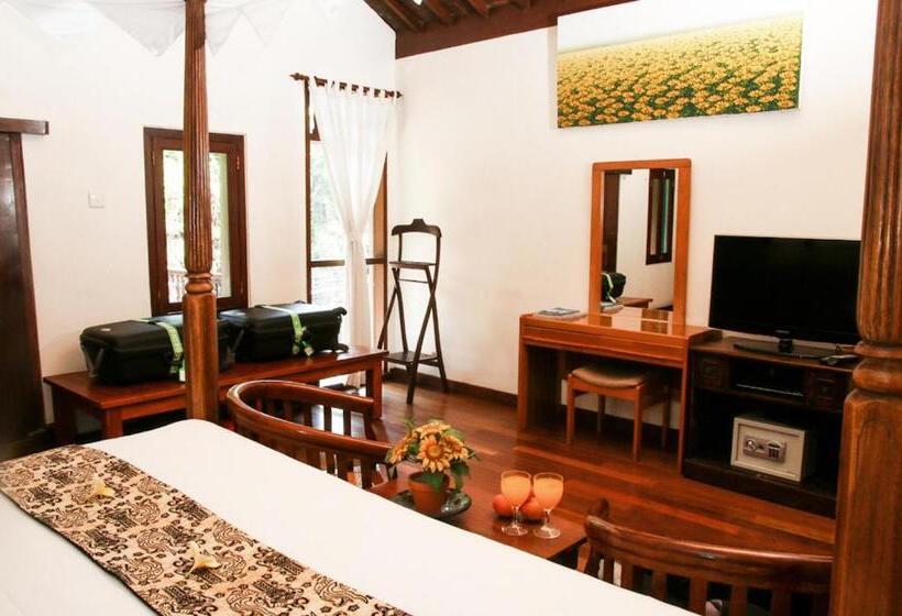 디럭스 룸, Sunhouse Guesthouse