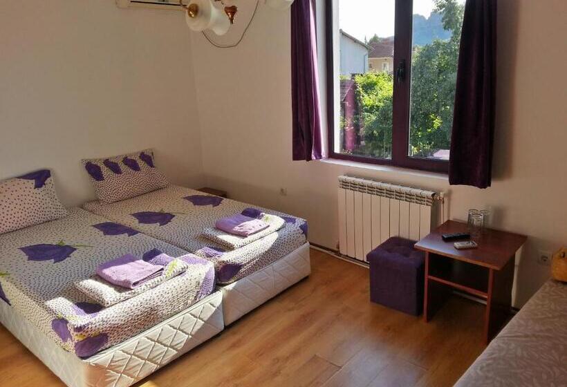 Трехместный Номер Стандарт Вид на Бассейн, Guest House Bedrock