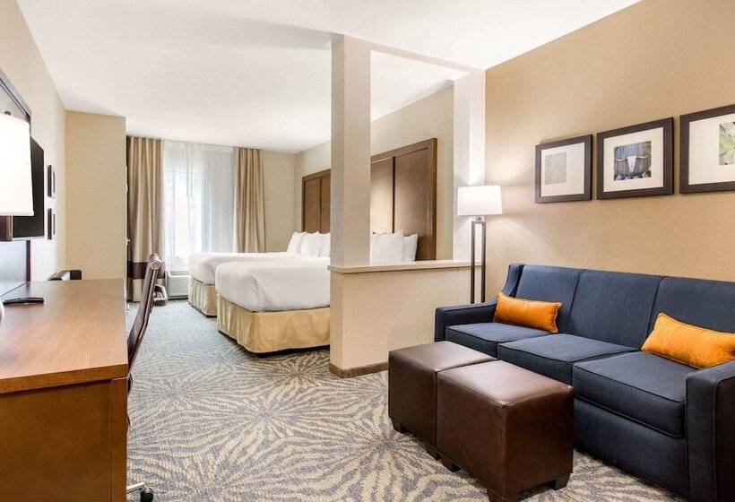 סוויטה מותאמת לאדם עם מוגבלויות, Comfort Suites  South Austin