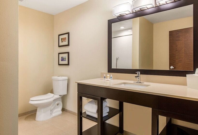 סוויטה מותאמת לאדם עם מוגבלויות, Comfort Suites  South Austin