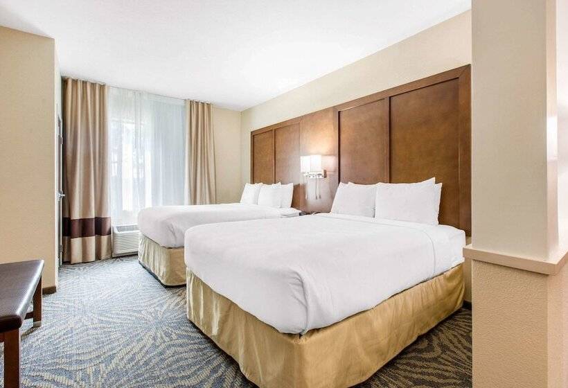 סוויטה, Comfort Suites  South Austin