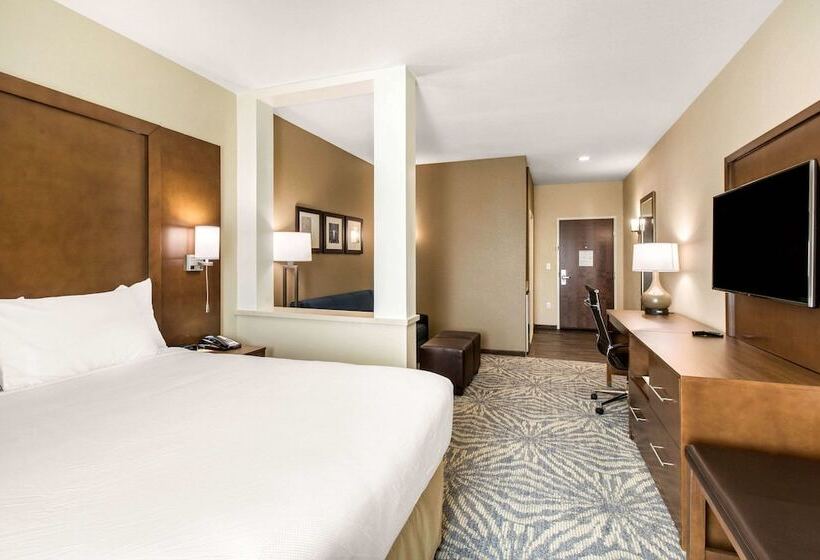 סוויטה מותאמת לאדם עם מוגבלויות, Comfort Suites  South Austin