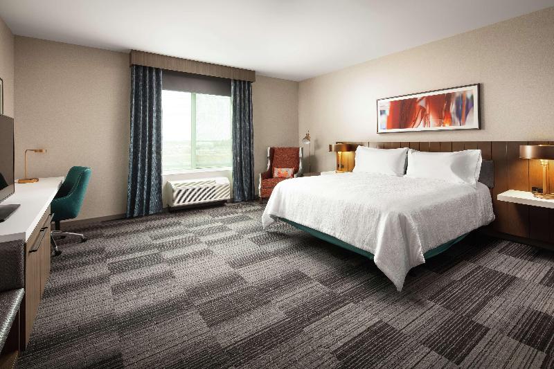 Стандартный Номер Кровать Кинг, Hilton Garden Inn Sacramento Airport Natomas