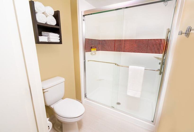 Люкс, Staybridge Suites   Newark   Fremont, An Ihg