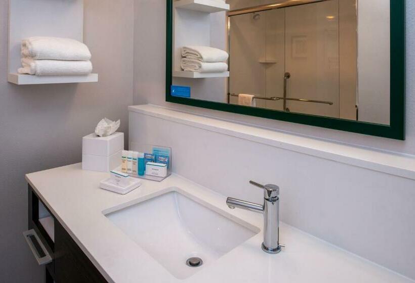 Номер Стандарт, Hampton Inn & Suites Winstonsalem Downtown