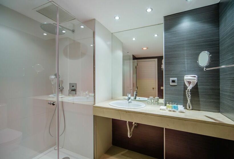 اتاق استاندارد, Aparthotel Fontanellas Playa