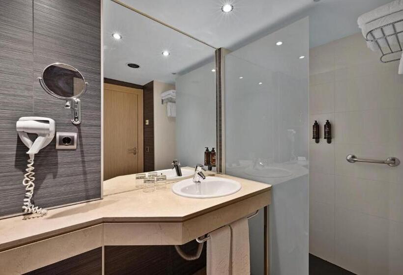 اتاق استاندارد, Aparthotel Fontanellas Playa