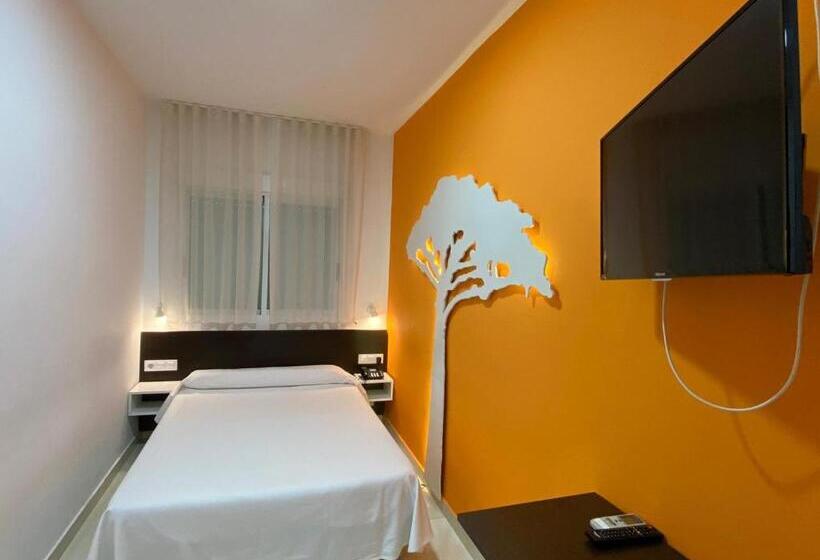 Habitación Estándar Individual, Sol Playa