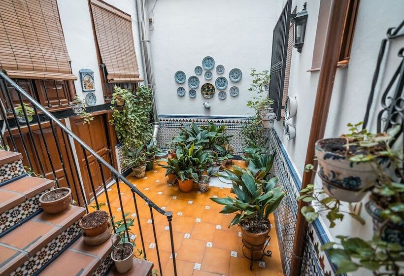 اتاق استاندارد, Veronica Centro