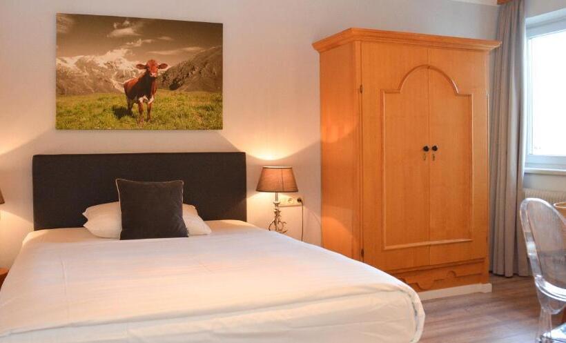 اتاق استاندارد یک نفره, Q! Hotel Maria Theresia