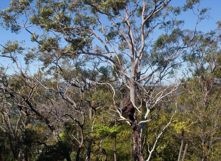 Номер Стандарт Вид на Сад, Bannisters Port Stephens