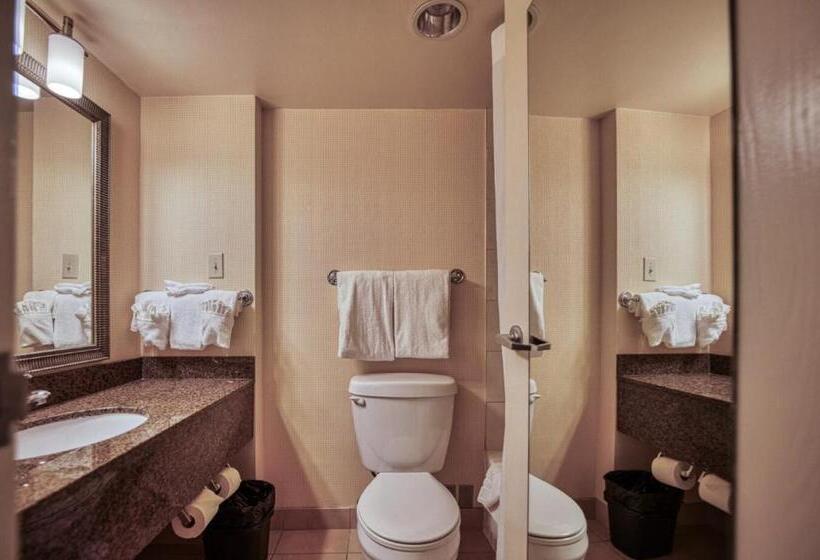 スタンダードルーム, Amenida Residences, Calgary