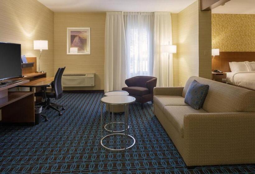 带大床的套房, Fairfield Inn & Suites By Marriott Belleville