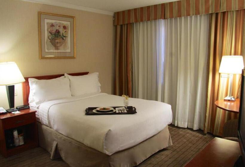 身障者適用スタンダードルーム, Amenida Residences, Calgary