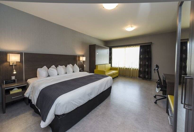 اتاق استاندارد, & Suites Le Dauphin Drummondville