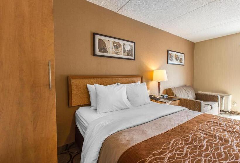 标准间, Comfort Inn