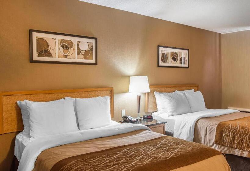 带2个双人床的标准工作室, Comfort Inn