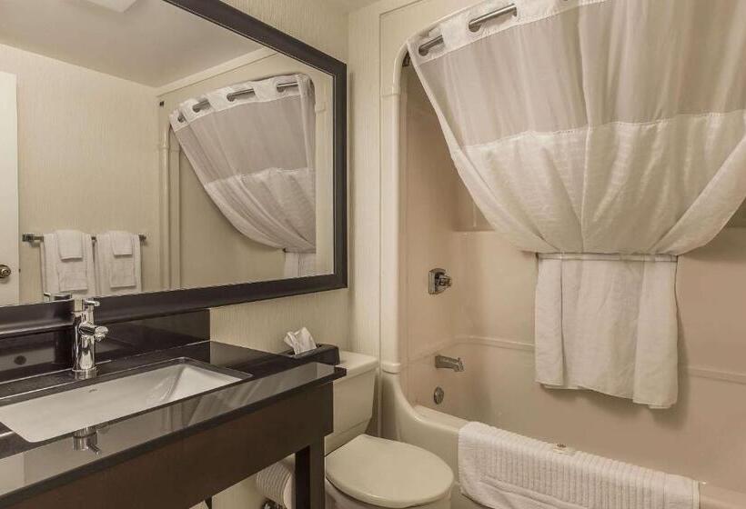 一楼标准间, Comfort Inn