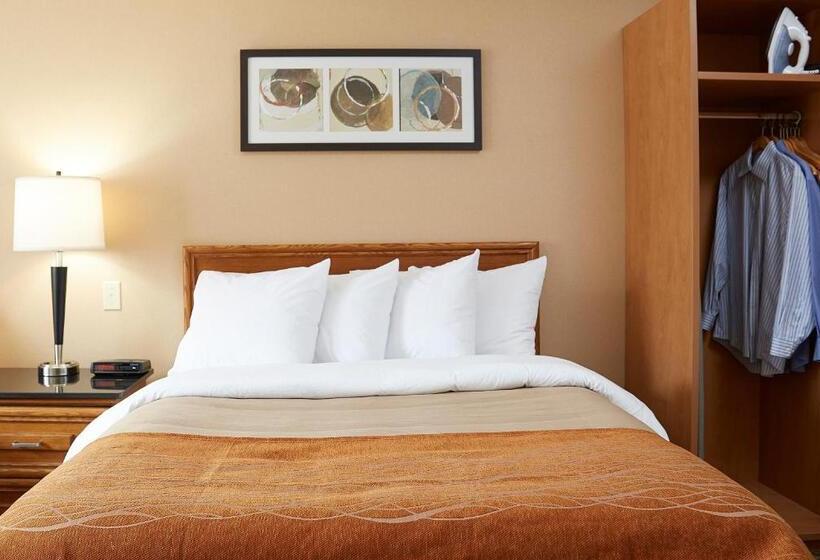 标准间, Comfort Inn