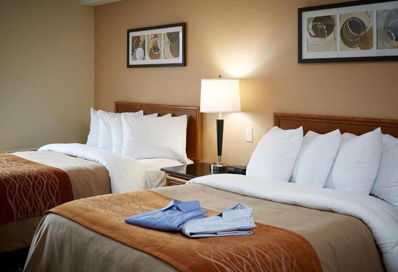 带2个双人床的标准工作室, Comfort Inn